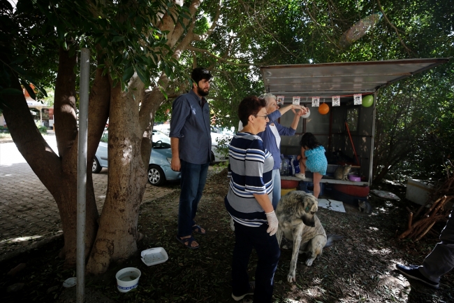Sokak kedilerine karavandan yuva yaptılar